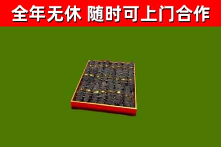 郯城回收海参